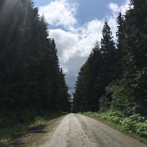 Meet your Posher, Sadie